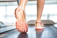 Biomechanic Effects of Footwear